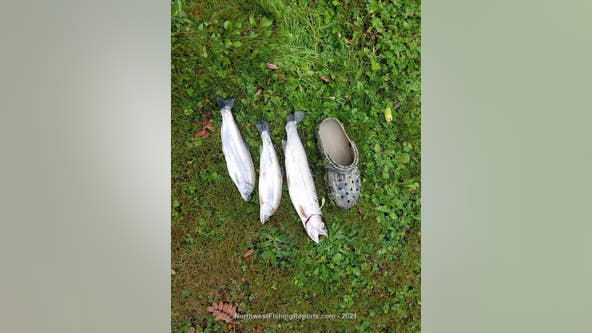Fishing Report of the Week: Cutthroat trout in Lake Sammamish