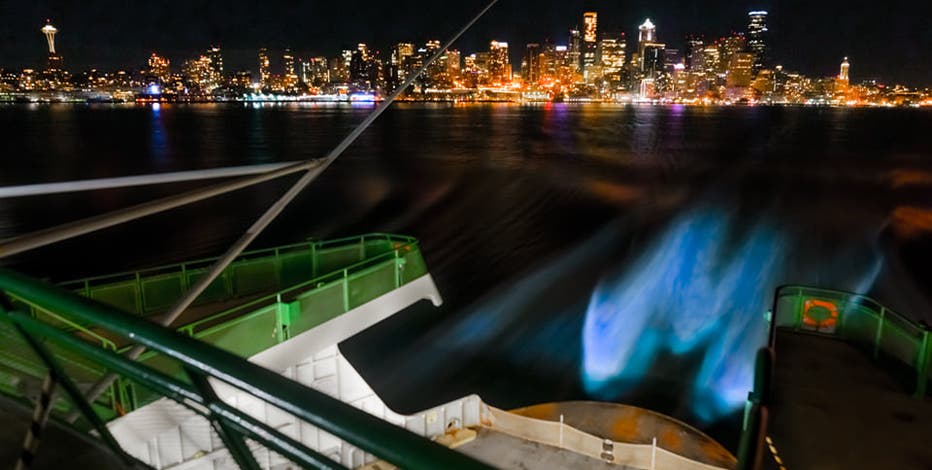 Photographer captures bioluminescent glow in wake of Seattle ferry