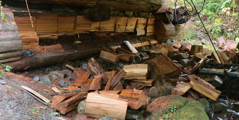 DNR: 2 men suspected of cutting wood from bridge with chainsaw