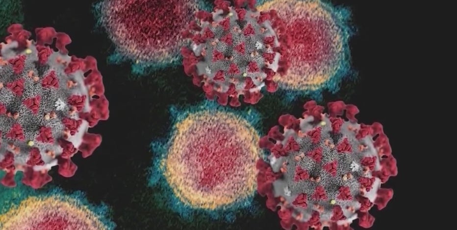 UW Medicine: 1 in 4 new COVID-19 cases attributed to BA.2 omicron variant