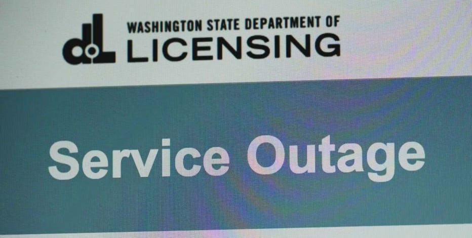 State licensing, renewal website down causing delays for business owners