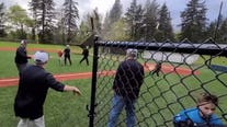 'Gustnado' wreaks havoc at Portland baseball field