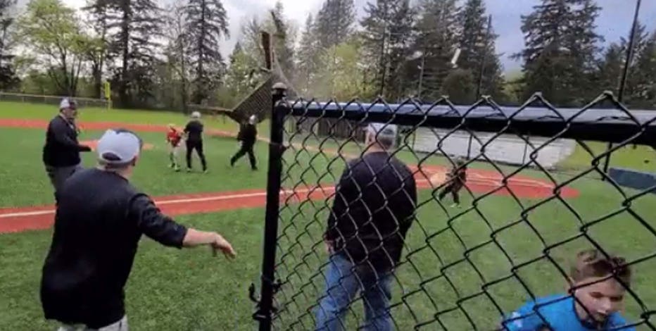 'Gustnado' wreaks havoc at Portland baseball field