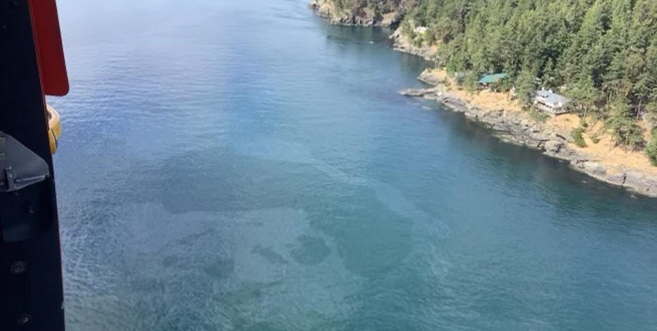 Scientists concerned about orcas after diesel, oil spill near San Juan Island