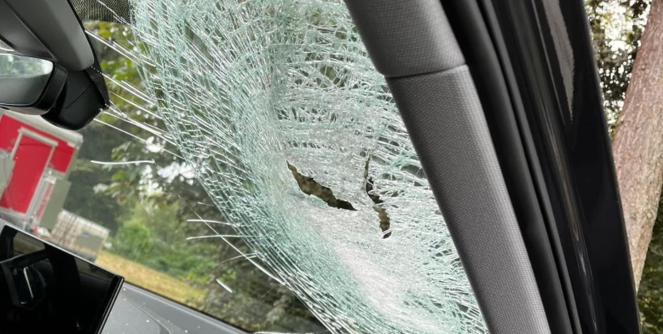 Troopers looking for witnesses who saw suspect throw rocks at cars on SR-900 in Renton