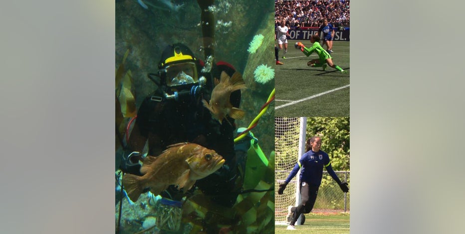 OL Reign's Goalie finds passion both on the field, and underwater
