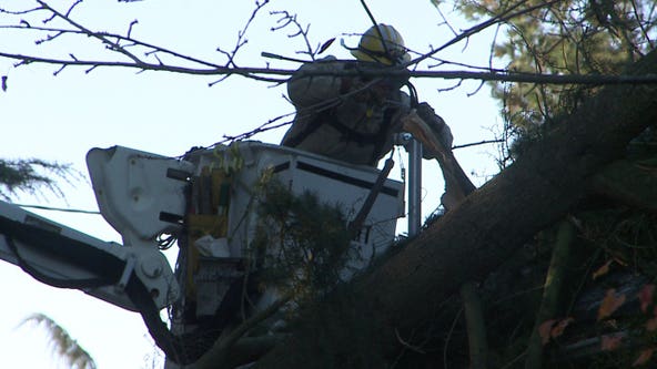 How to report a power outage, what to do to prepare and stay safe during a storm