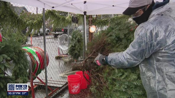 Non-profit hopes to help 22,000 people with their Christmas tree sale in Beacon Hill