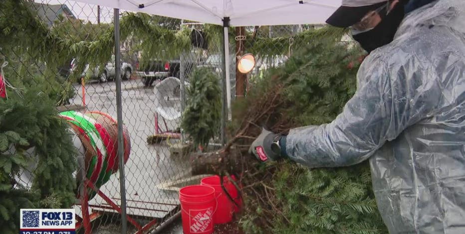 Non-profit hopes to help 22,000 people with their Christmas tree sale in Beacon Hill