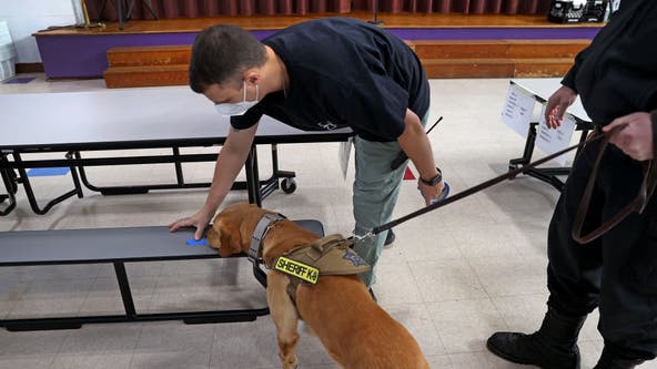 United States is short on bomb-sniffing dogs; relies on importing animals from overseas