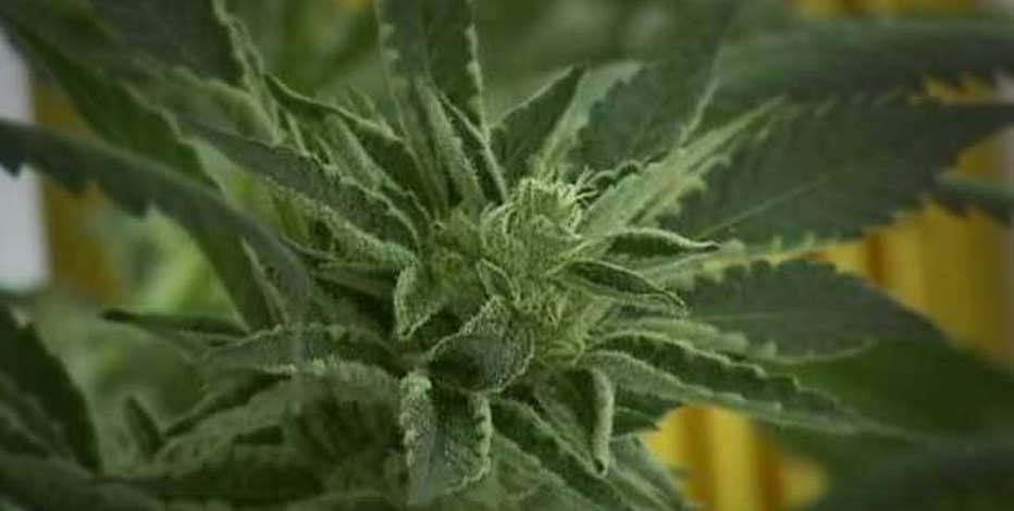 Bill would create Washington cannabis commission