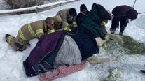 Trapped horse rescued after surviving below-freezing temps in snow