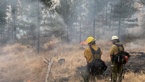 DNR plans prescribed burns on 2,100 acres across Washington this spring