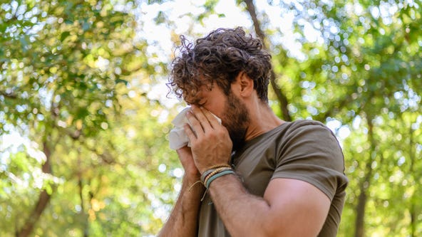 Report: Allergy season is getting longer around the Seattle area