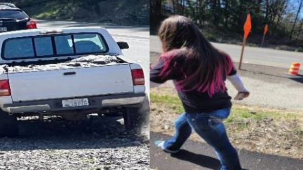 WSP looking hit-and-run driver who crashed stolen truck while driving the wrong way