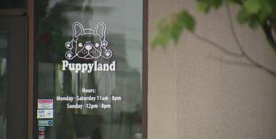 AG Ferguson files lawsuit against Puppyland; alleging false health guarantees, predatory loans