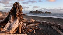 Coast Guard ends search for woman swept by current off Clallam County beach