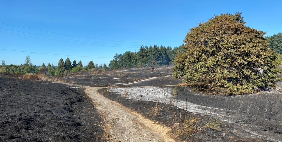Evacuations lifted as crews contain Lakewood brush fire