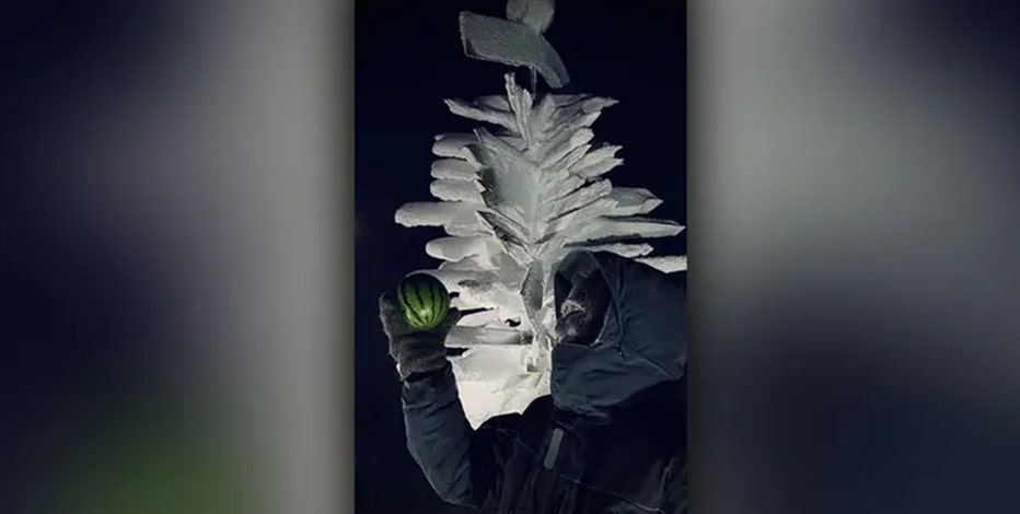 Antarctica gets ‘taste of summer’ as watermelons bloom in coldest place on Earth