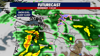 Weather Alert Day: Heavy rain and gusty winds on Wednesday