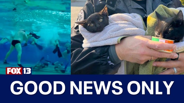 Good News Only: Meet Seattle's underwater hockey team, kitten rescue in Marysville and MORE!
