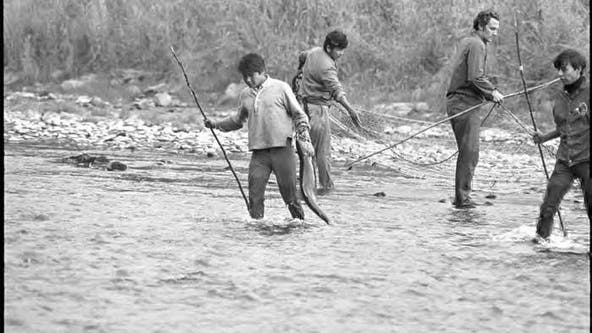 From ‘Fish Wars’ to legal triumph: The Boldt Decision, 50 years later
