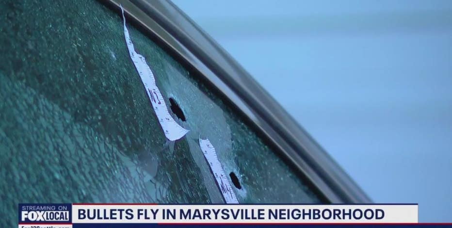 'Bullet holes in every house': Marysville police still searching for suspects in overnight shooting
