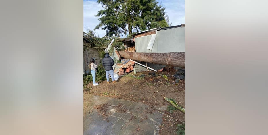 ‘They cannot live here’: Windstorm topples tree in Lynnwood, damaging 4 mobile homes