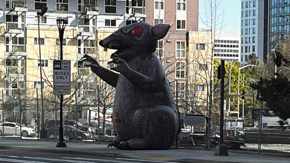Here's why there's a giant inflatable rat in downtown Seattle