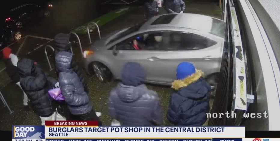 VIDEO: Seattle pot shop burglarized by large group using stolen vehicle