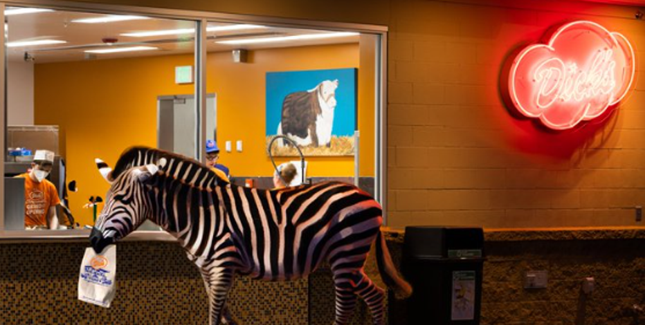 WA businesses poke fun at escaped zebra in North Bend
