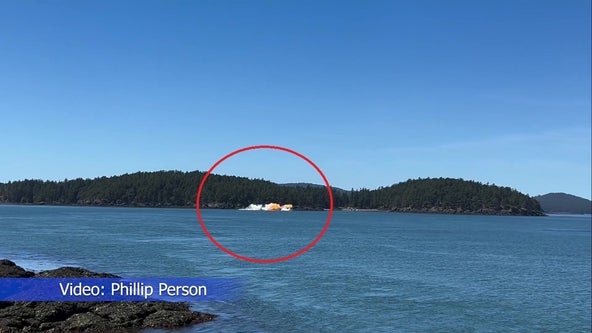 Video shows fiery small plane crash into WA waters near Orcas Island