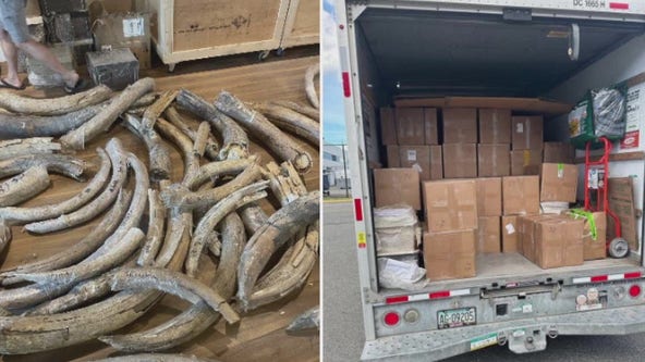 U-Haul full of mammoth tusks, other rare items stolen from SeaTac hotel