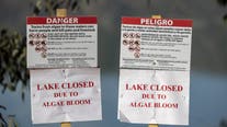 Toxic algae warning issued for Ocean Shores waterways