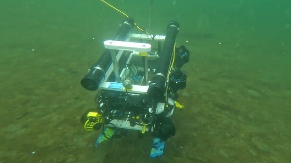 Robots to the rescue: WA's high-tech solution for seagrass restoration