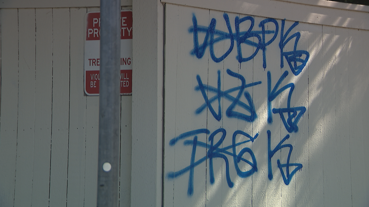 Everett, WA wants taggers to pay to clean up their own graffiti