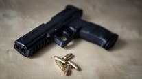 Florida House backs concealed weapons change