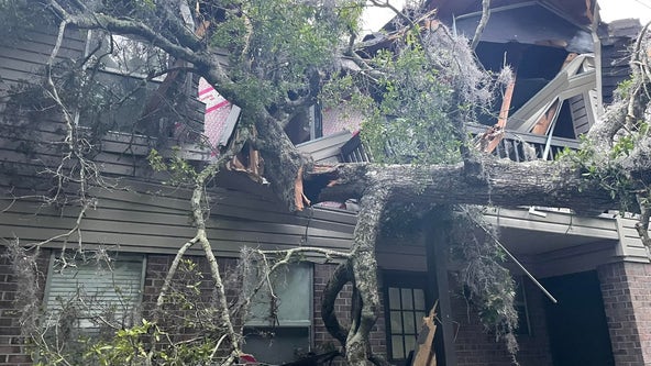 Large oak tree falls into apartment building in Orange City, fire department says