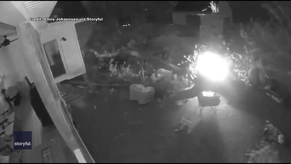 ‘We Almost Died!’ Video shows Virginia men narrowly escape tree as it crashes into backyard