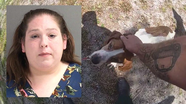 Woman arrested on animal cruelty charges after neglected animals rescued in DeLand, deputies say