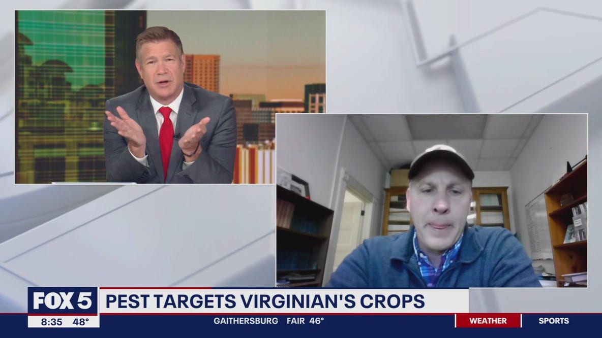 Pest targets Virginia crops