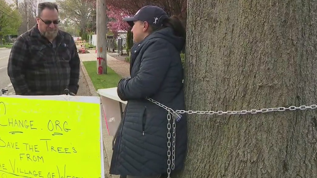 NY woman chained herself to a tree