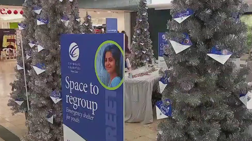 Catholic Charities Giving Tree event at MOA