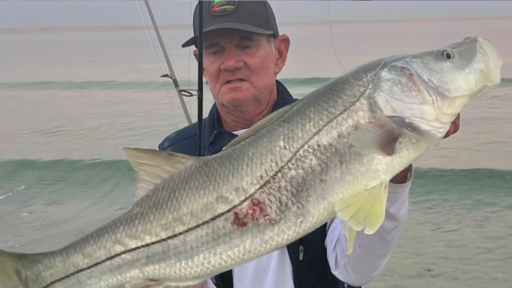 New month, new fish in Bay and Gulf