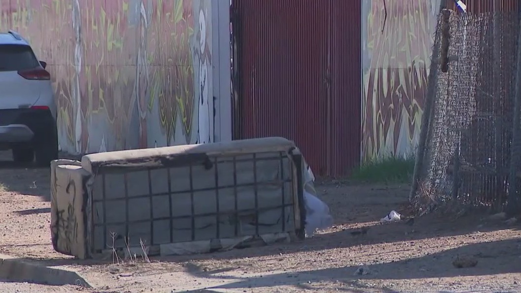 Disturbing discovery in Phoenix: 3 dead dogs found in area that's a frequent target of illegal dumping