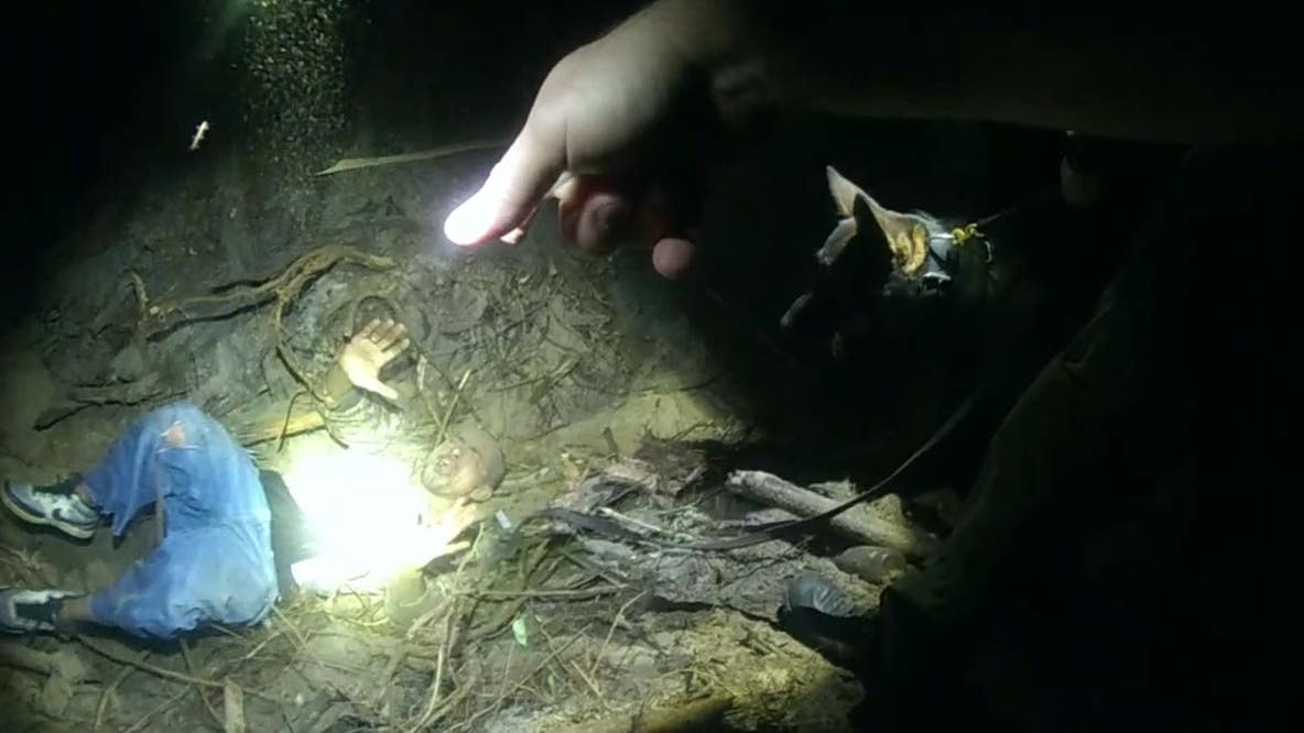 K-9 dog bites suspect found hiding in hole
