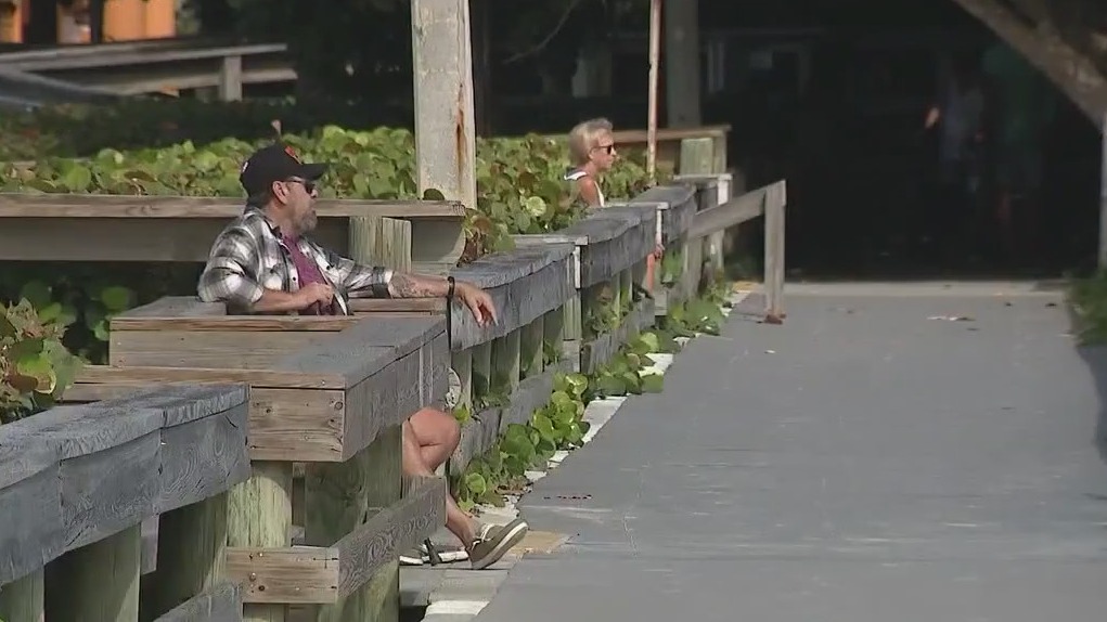 Rat infestation at Indialantic boardwalk