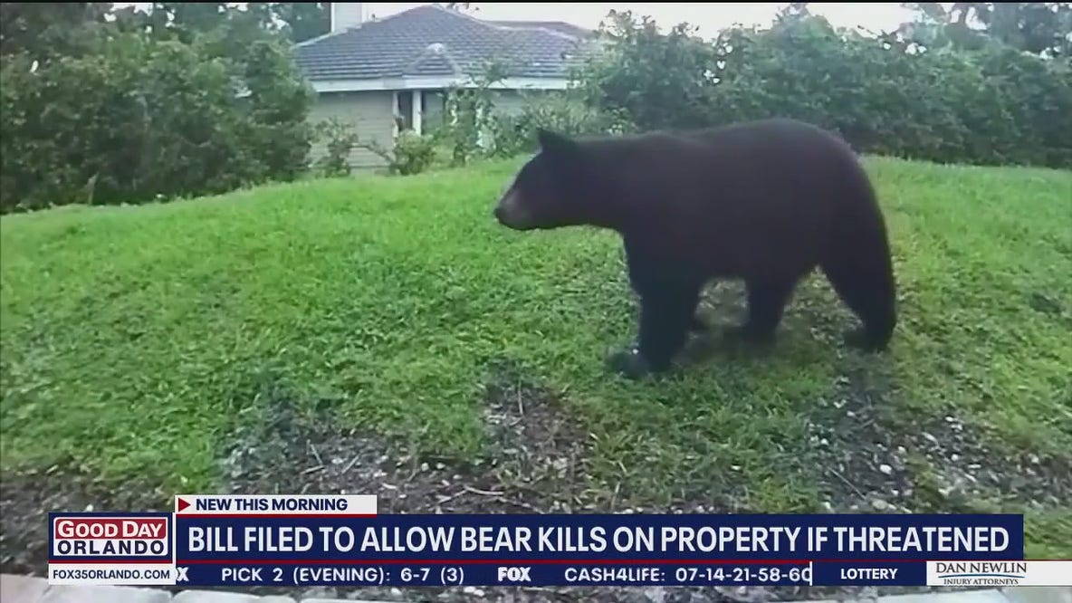 Bill to allow bear kills on property if threatened