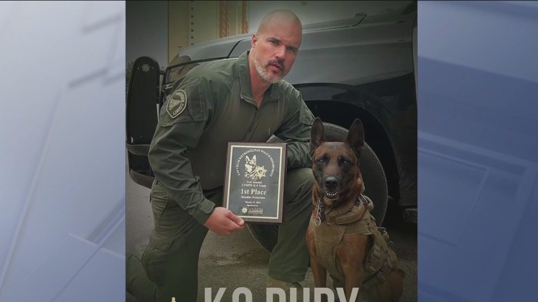 Police activity ends in K9 dying in Riverside County