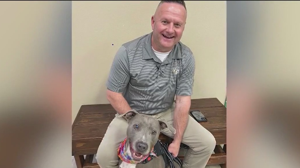 Overlooked shelter dog finally adopted after spending nearly a year in Seminole County kennel Overlooked shelter dog finally adopted after spending nearly a year in Seminole County kennel